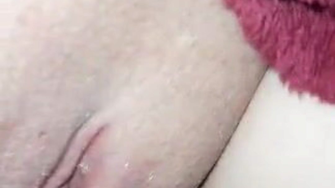 je le laisse me goder en punition de l avoir fait cocu mira je le laisse me goder en punition de l avoir fait cocu película en xhamster - la mejor selección de episodios de tubo de porno hd caseros en francés gratis